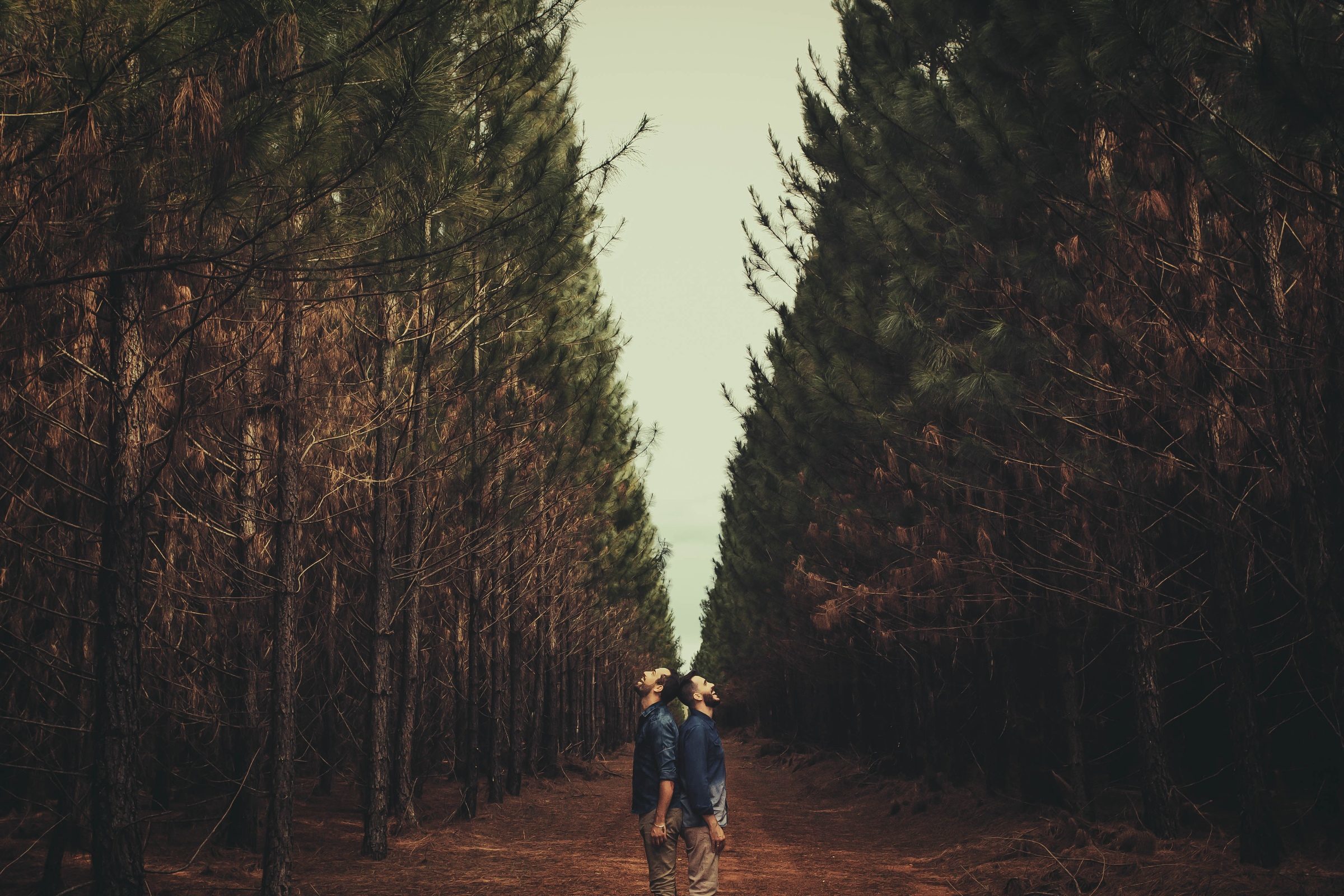 Foto de Oficina da Imagem 10